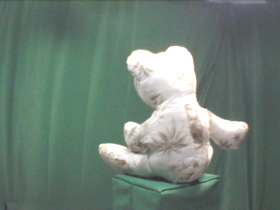 45 Degrees _ Picture 9 _ Green and White Teddy Bear.png